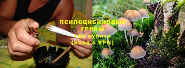 твердый Алзамай